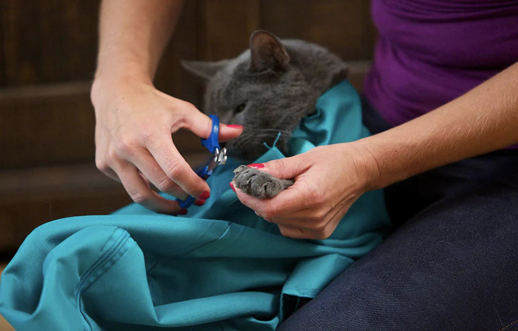 CuddleCrate: The Cozy Cat Carrier Pouch