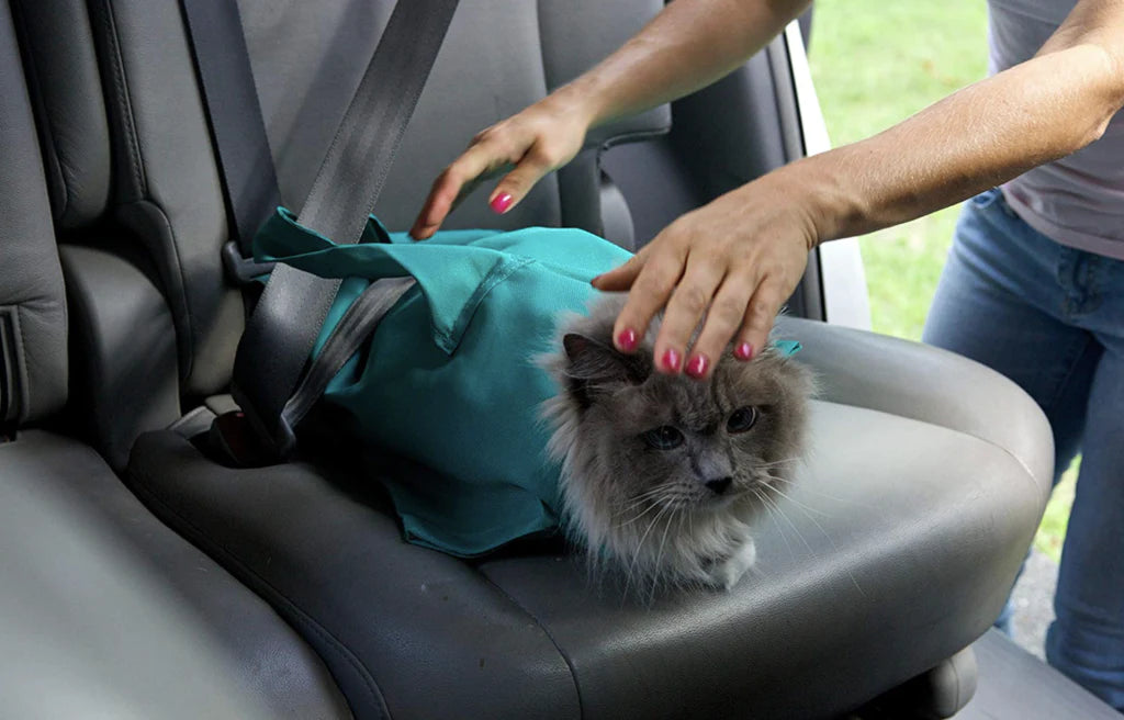 CuddleCrate: The Cozy Cat Carrier Pouch